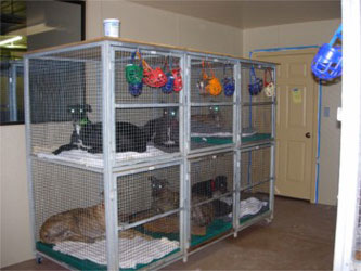 Almost Home for Hounds Facility